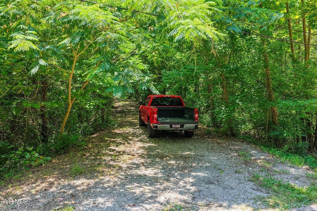 TBD Beech Creek Rd, Rogersville, TN 37857