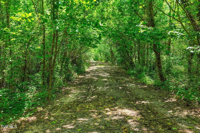 TBD Beech Creek Rd, Rogersville, TN 37857