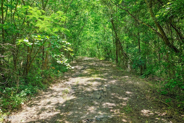 TBD Beech Creek Rd, Rogersville, TN 37857