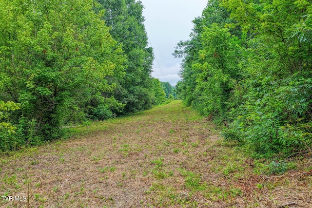 TBD Beech Creek Rd, Rogersville, TN 37857