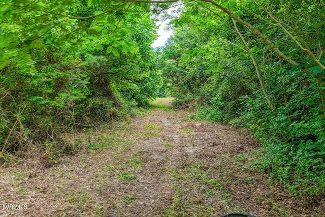 TBD Beech Creek Rd, Rogersville, TN 37857