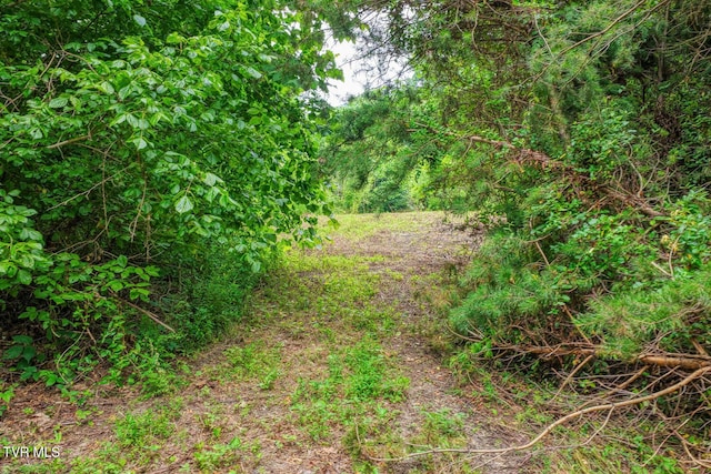 TBD Beech Creek Rd, Rogersville, TN 37857