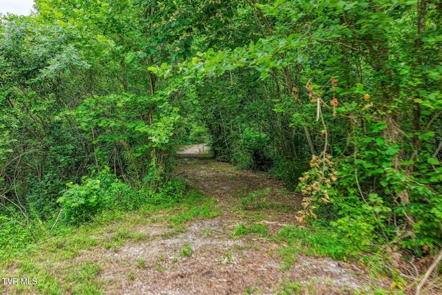 TBD Beech Creek Rd, Rogersville, TN 37857