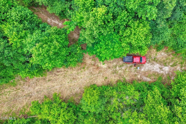 TBD Beech Creek Rd, Rogersville, TN 37857