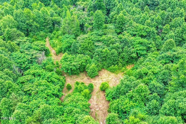 TBD Beech Creek Rd, Rogersville, TN 37857