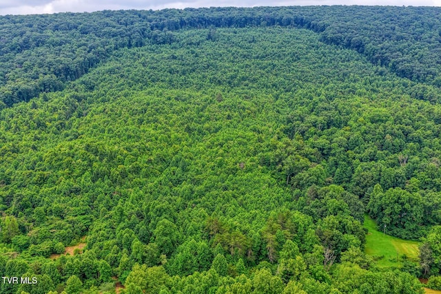 TBD Beech Creek Rd, Rogersville, TN 37857
