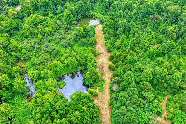 TBD Beech Creek Rd, Rogersville, TN 37857