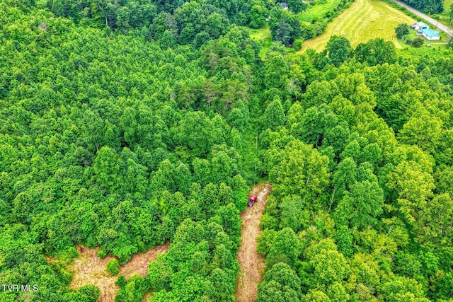 TBD Beech Creek Rd, Rogersville, TN 37857