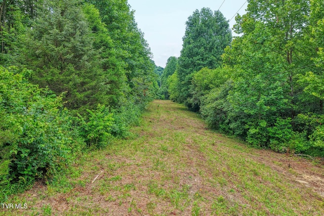 TBD Beech Creek Rd, Rogersville, TN 37857