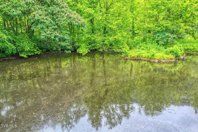 TBD Beech Creek Rd, Rogersville, TN 37857