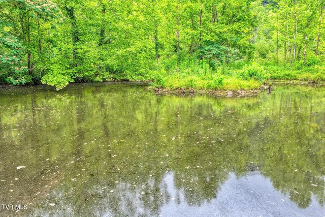 TBD Beech Creek Rd, Rogersville, TN 37857