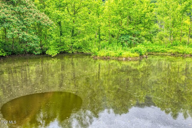TBD Beech Creek Rd, Rogersville, TN 37857