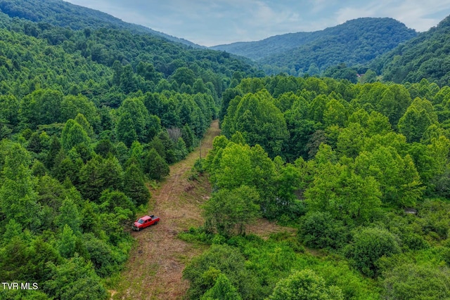 TBD Beech Creek Rd, Rogersville, TN 37857