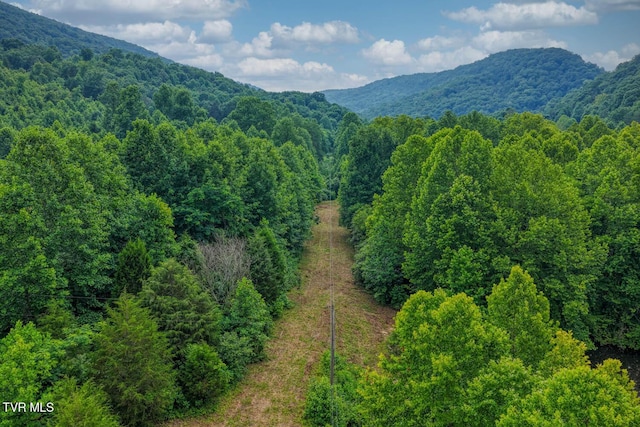 TBD Beech Creek Rd, Rogersville, TN 37857
