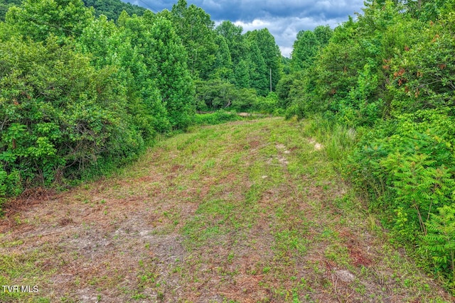 TBD Beech Creek Rd, Rogersville, TN 37857