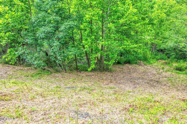 TBD Beech Creek Rd, Rogersville, TN 37857
