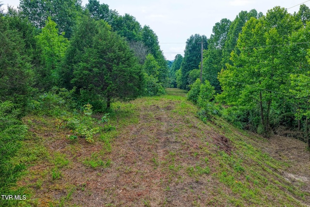 TBD Beech Creek Rd, Rogersville, TN 37857