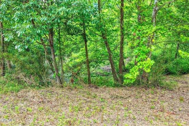 TBD Beech Creek Rd, Rogersville, TN 37857