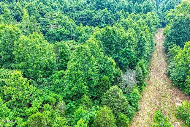 TBD Beech Creek Rd, Rogersville, TN 37857