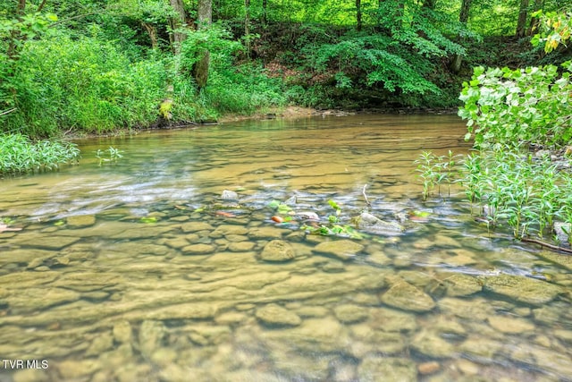 TBD Beech Creek Rd, Rogersville, TN 37857