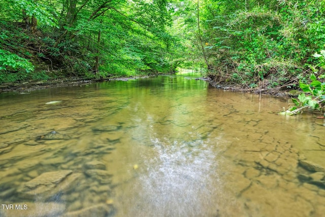 TBD Beech Creek Rd, Rogersville, TN 37857