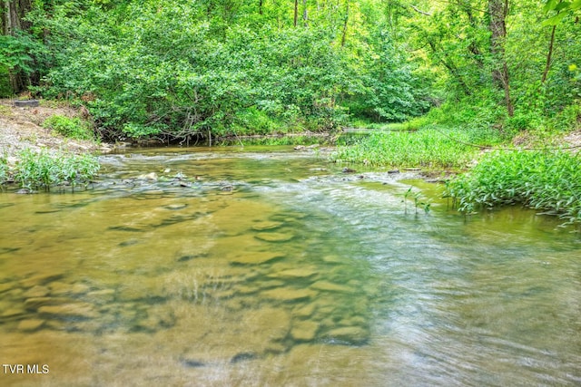 TBD Beech Creek Rd, Rogersville, TN 37857