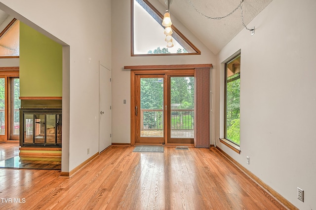 190 Sycamore Cir, Jonesborough, TN 37659 - entryway featuring vaulted ceiling, plenty of natural light, hardwood / wood-style floors, and a multi sided fireplace