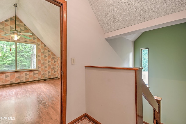 190 Sycamore Cir, Jonesborough, TN 37659 - stairs featuring vaulted ceiling, wood finished floors, a ceiling fan, and a textured ceiling
