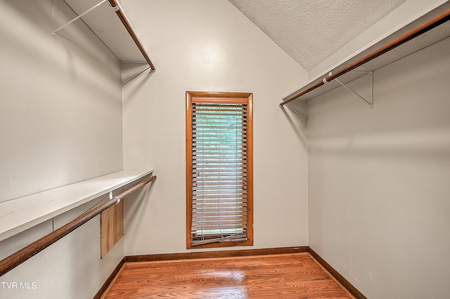 190 Sycamore Cir, Jonesborough, TN 37659 - walk in closet featuring light wood-type flooring and vaulted ceiling