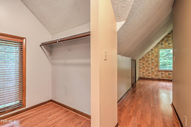 190 Sycamore Cir, Jonesborough, TN 37659 - walk in closet featuring vaulted ceiling and wood finished floors