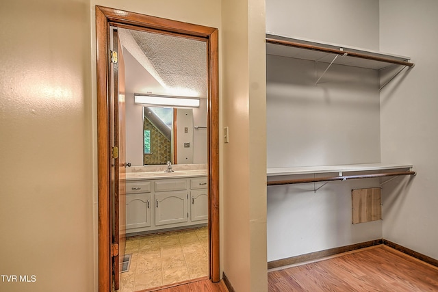190 Sycamore Cir, Jonesborough, TN 37659 - walk in closet featuring a sink and light wood finished floors