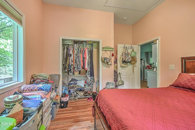 190 Sycamore Cir, Jonesborough, TN 37659 - bedroom with multiple windows, wood finished floors, attic access, and a closet