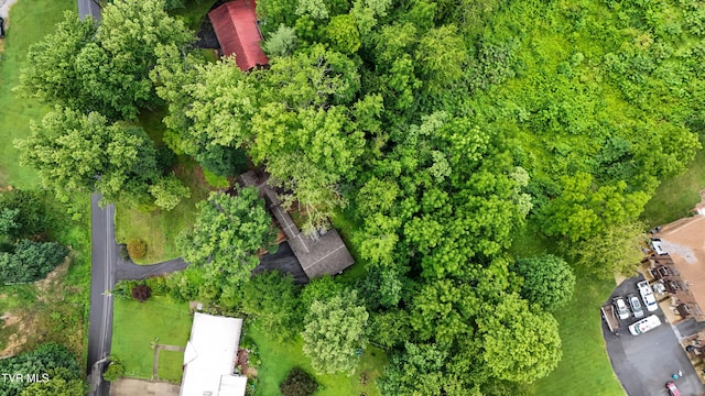 190 Sycamore Cir, Jonesborough, TN 37659 - bird's eye view