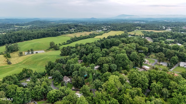 190 Sycamore Cir, Jonesborough, TN 37659 - drone / aerial view