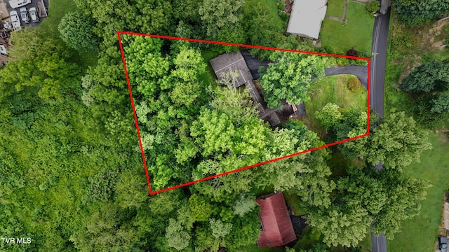 190 Sycamore Cir, Jonesborough, TN 37659 - aerial overview of property's location with property parcel outlined