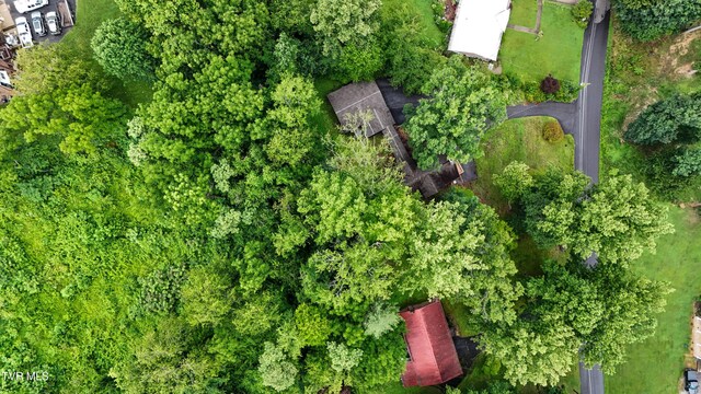 190 Sycamore Cir, Jonesborough, TN 37659 - drone / aerial view
