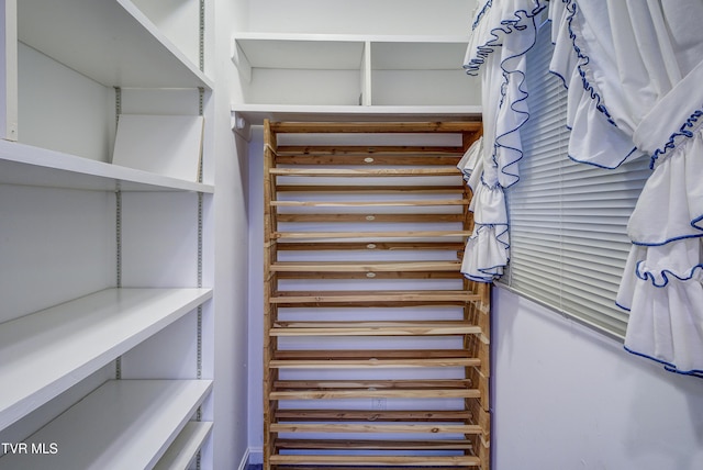 1710 Sundale Rd, Johnson City, TN 37604 - view of walk in closet