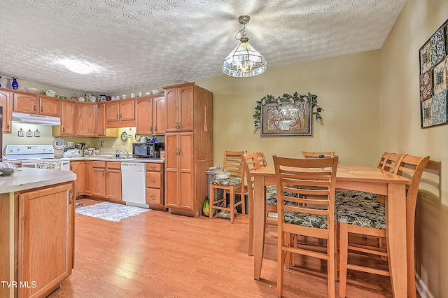 929 Cornerstone Ct, Kingsport, TN 37660 - kitchen featuring white appliances, under cabinet range hood, light wood-type flooring, light countertops, and a textured ceiling