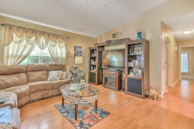 929 Cornerstone Ct, Kingsport, TN 37660 - living room featuring light wood finished floors, a textured ceiling, and a glass covered fireplace