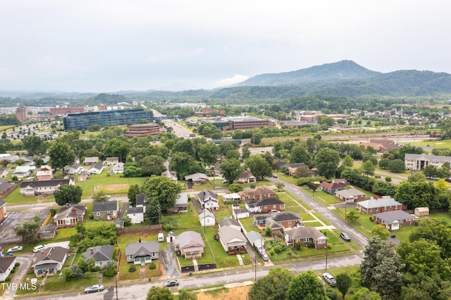 1205 Willow St, Kingsport, TN 37664 - photo 32