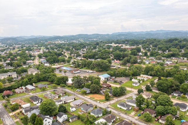 1205 Willow St, Kingsport, TN 37664 - photo 36