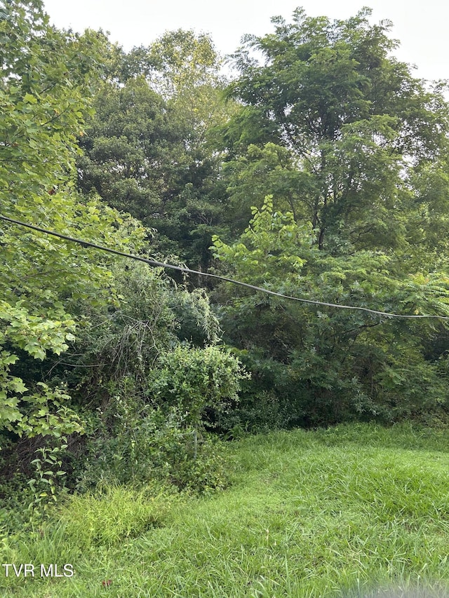 2703 Orr St, Big Stone Gap, VA 24219 - view of yard with a wooded view