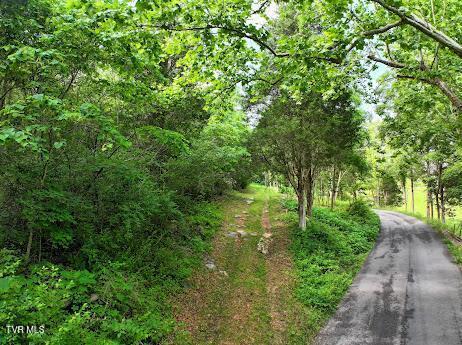 1803 Ivy Ridge Rd, Cleveland, VA 24225