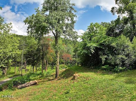 1803 Ivy Ridge Rd, Cleveland, VA 24225