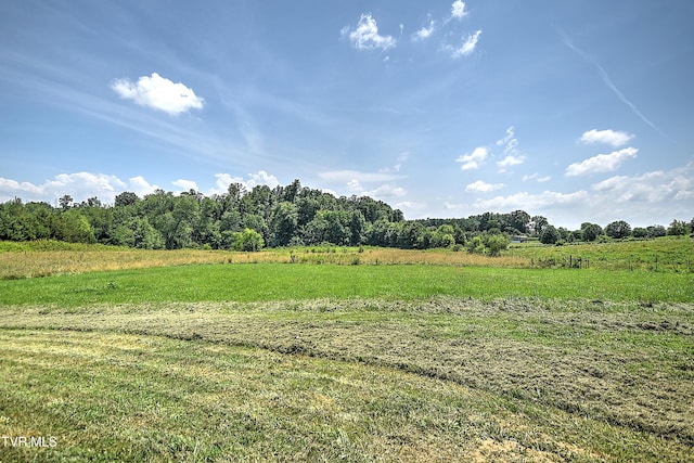 60 Lazy Brook Rd, Chuckey, TN 37641 - photo 4