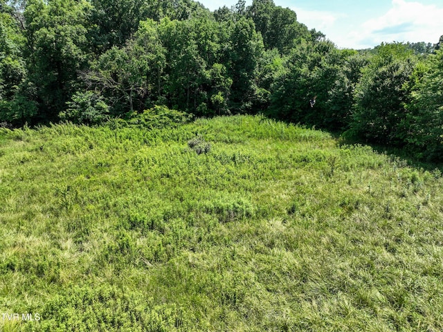 60 Lazy Brook Rd, Chuckey, TN 37641 - photo 49