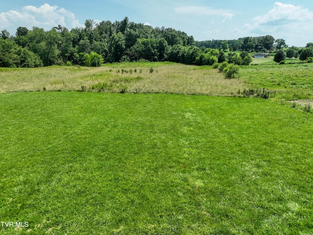 60 Lazy Brook Rd, Chuckey, TN 37641 - photo 50