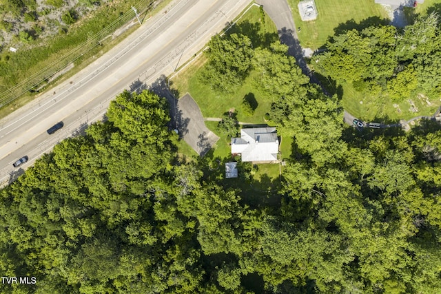 2833 E Oakland Ave, Johnson City, TN 37601 - photo 58