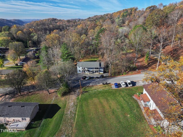 105 Lemay Dr, Kingsport, TN 37664 - aerial overview of property's location with a heavily wooded area