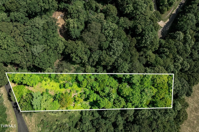 LOT32 Lake Ridge Rd, Butler, TN 37640 - photo 1